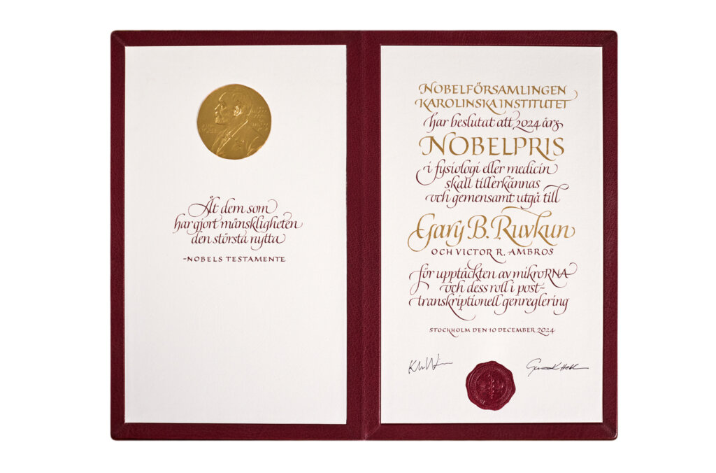 Diploma Gary Ruvkun 2024 (1)