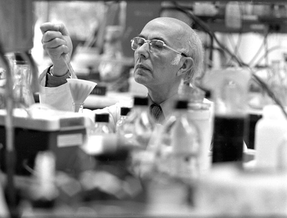 Renato Dulbecco in the lab