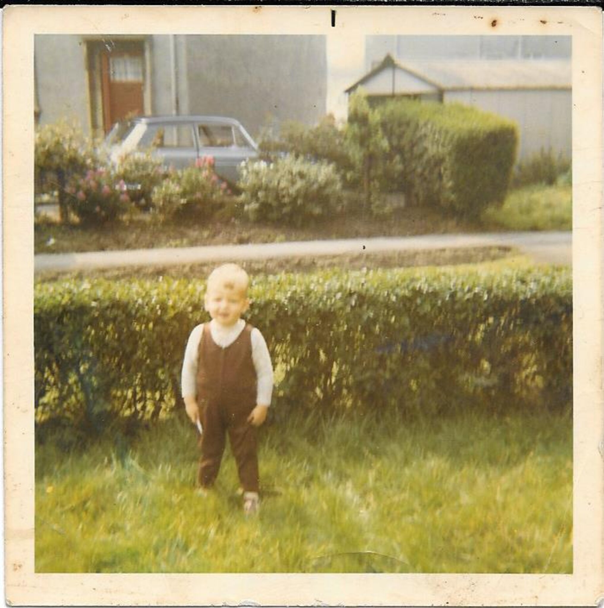A colour photo of a toddler standing in a garden