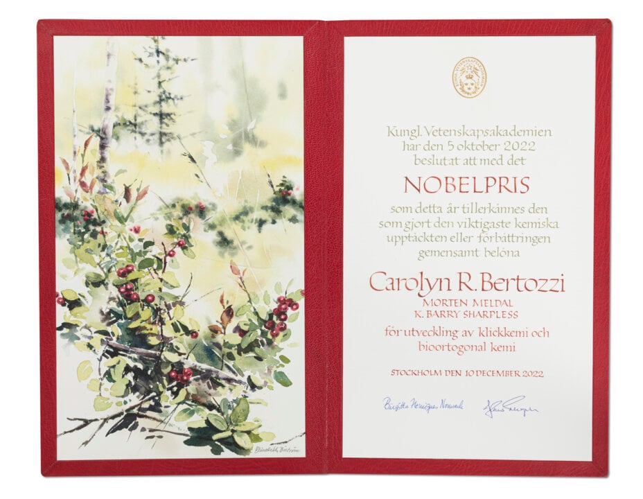 Carolyn R. Bertozzi - Nobel Prize diploma