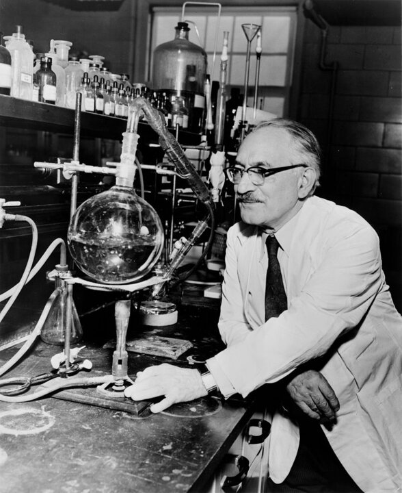 Selman A. Waksman at work in the laboratory