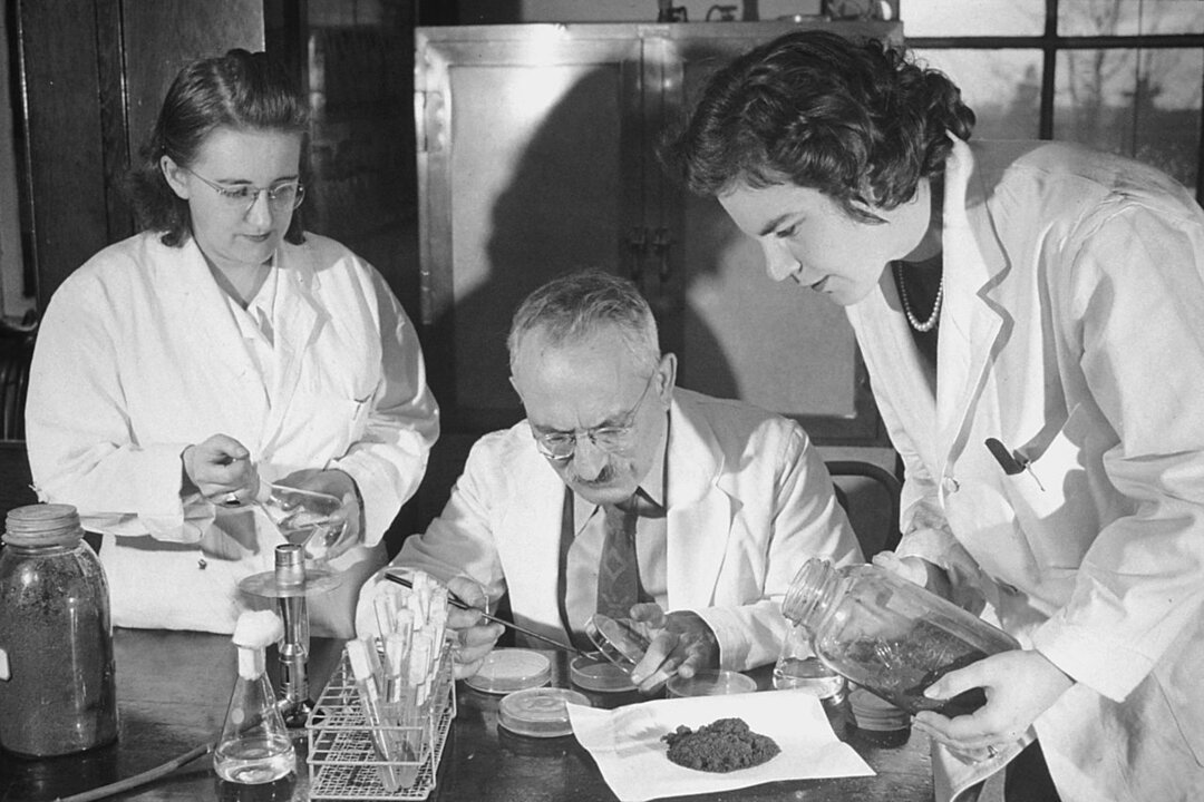 Selman Waksman and two female associates testing Streptomycin