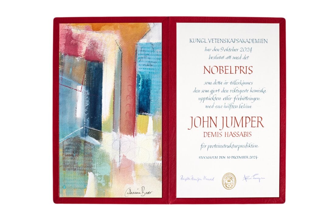 Diploma John Jumper 2024 (2)