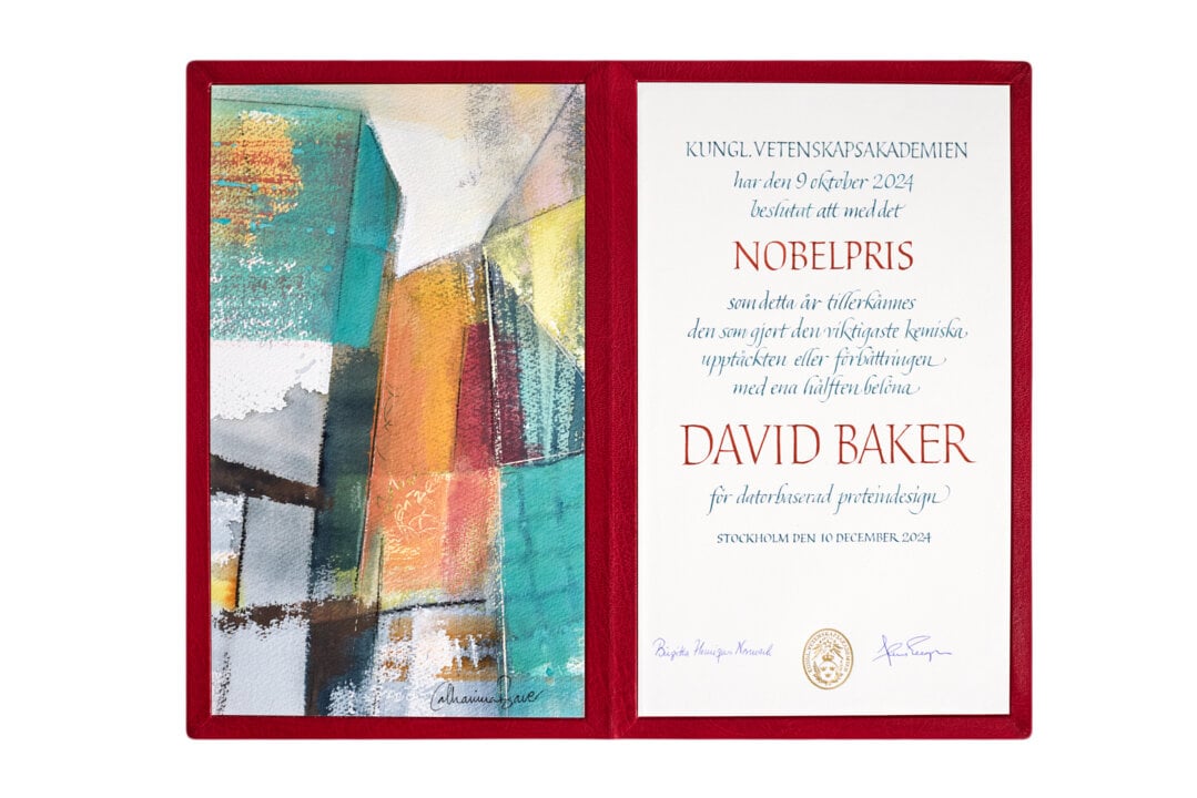 Diploma David Baker 2024 (1)