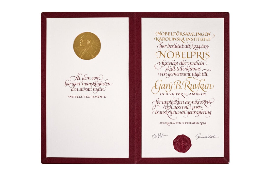 Diploma Gary Ruvkun 2024 (1)