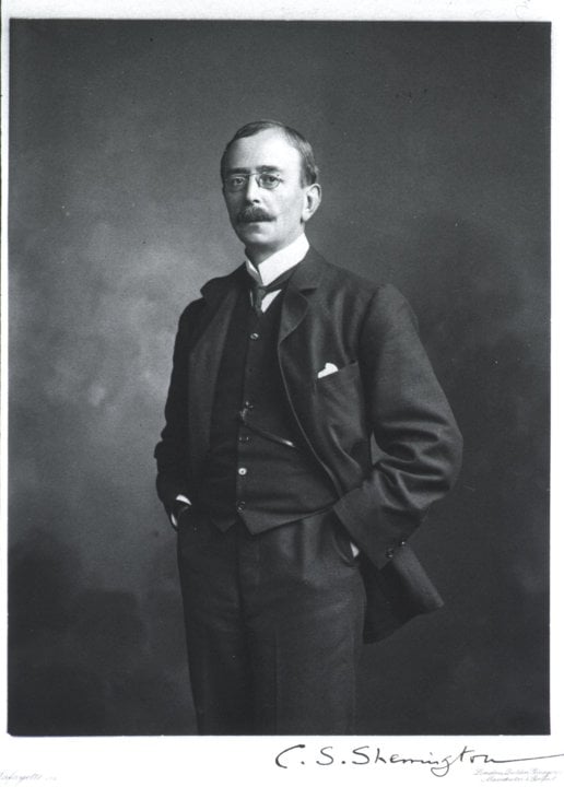 Portrait of Charles S. Sherrington