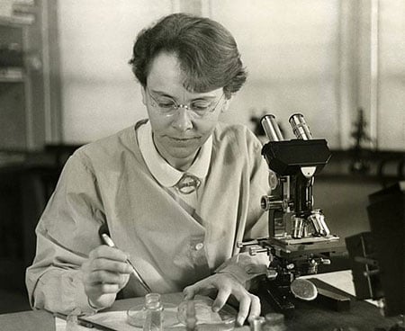 Barbara McClintock shown in her laboratory at Cold Spring Harbor. Source: Smithsonian Institution/Science Service; Restored by Adam Cuerden, via Wikimedia Commons