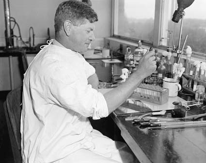 Sir Frank Macfarlance Burnet in the laboratory.