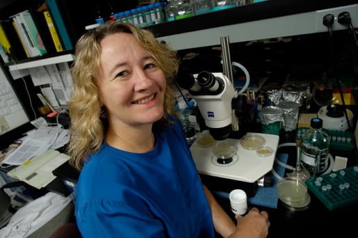 Carol W. Greider in her laboratory