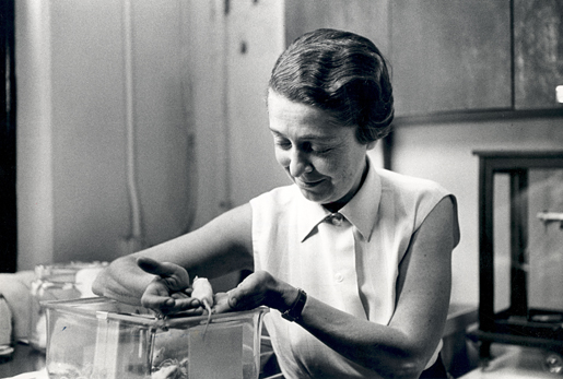 Rita Levi-Montalcini in her laboratory