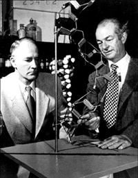 Beadle and Pauling with molecular model.