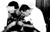 George Beadle and B. Ephrussi using microscopes.