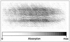  Pattern of interference between two overlapping Bose-Einstein condensates of sodium atoms