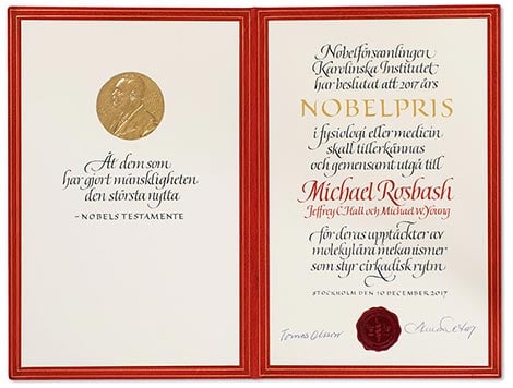 Nobel diploma
