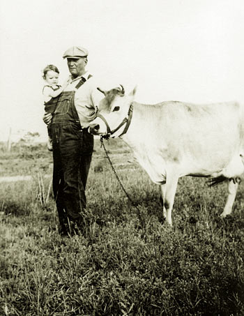 I am in the arms of my grandfather standing next to his cow