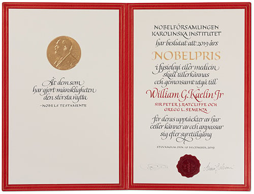 William G. Kaelin Jr - Nobel diploma