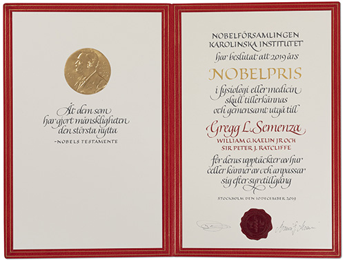 Gregg L. Semenza - Nobel Diploma
