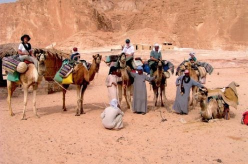 On a camel-trek