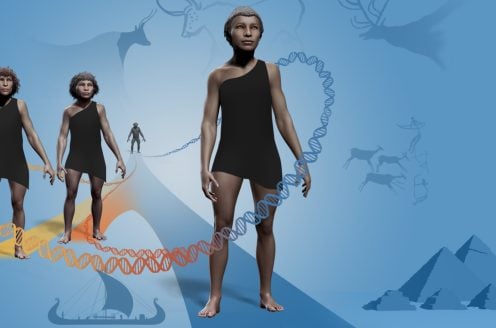 Denisova, Neanderthal and H. sapiens