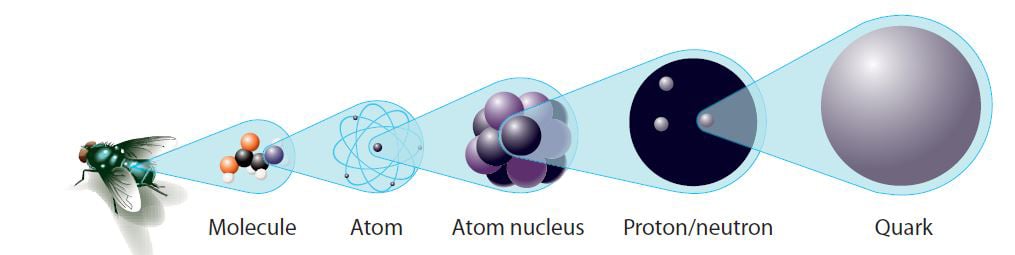 Electrons and quarks