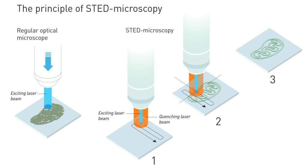 Illustration of the principle of STED microscopy