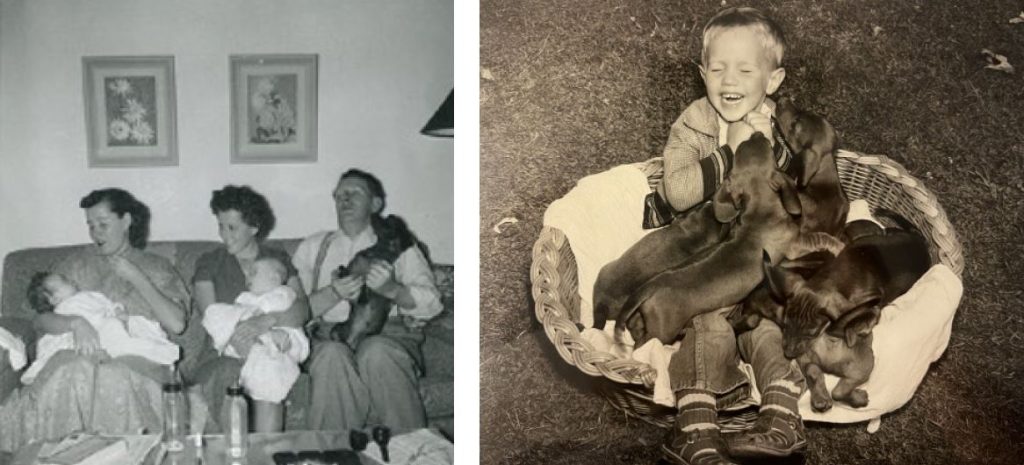 A photo three adults and two babies, and a photo of a boy with two dogs