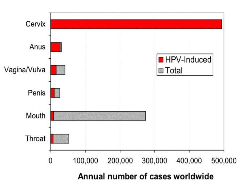 Illustration: Annual number of cancers worldwide