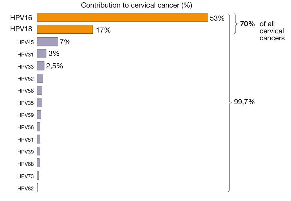 Graph of the cumulative frequency of HPV genotypes present in cervical cancer