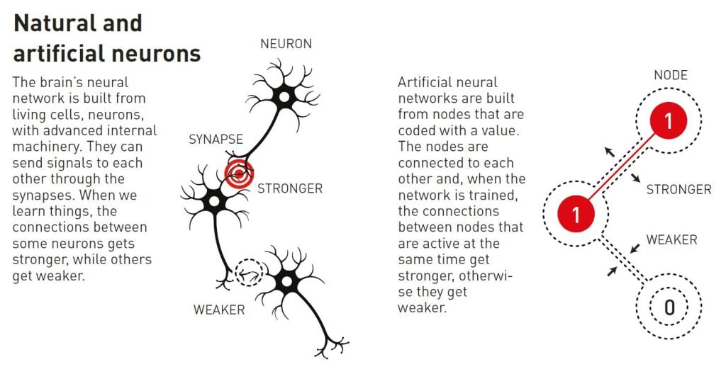 Illustration of natural and artificial neurons