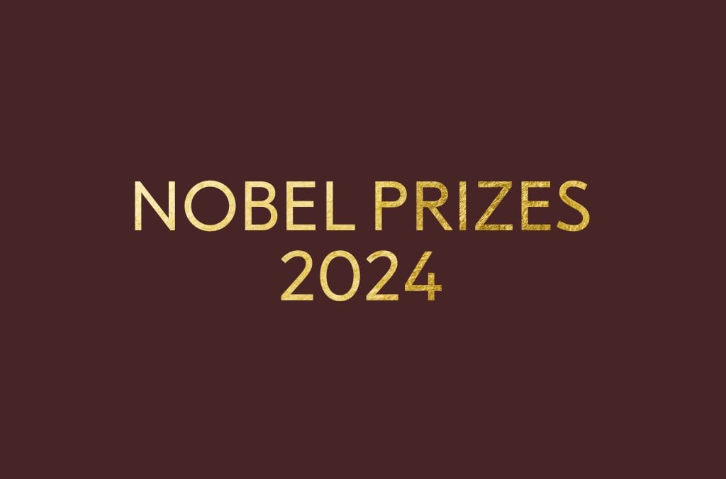 Press release The Nobel Prize in Physics 2024