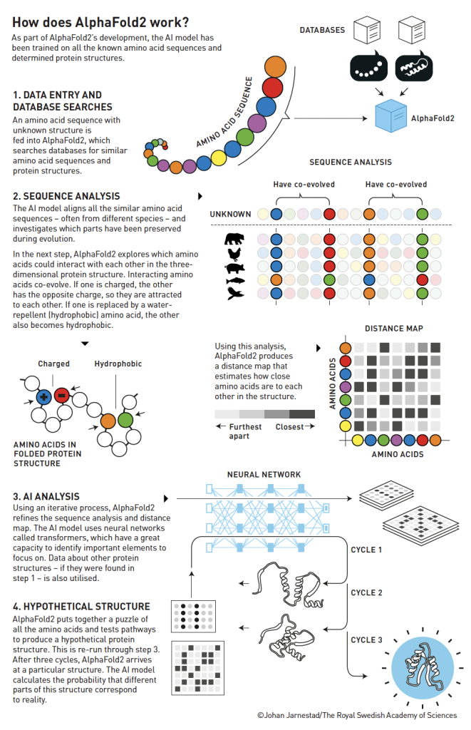 Illustration of how AlphaFold2 works