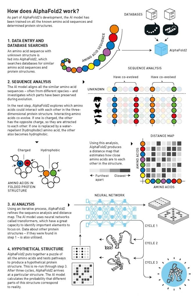 Illustration of how AlphaFold2 works