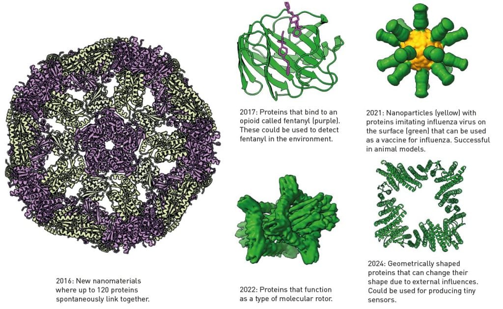 Images of proteins developed using Baker’s program Rosetta