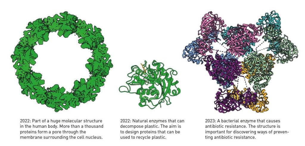 Images of protein stuctures determined using AlphaFold2.