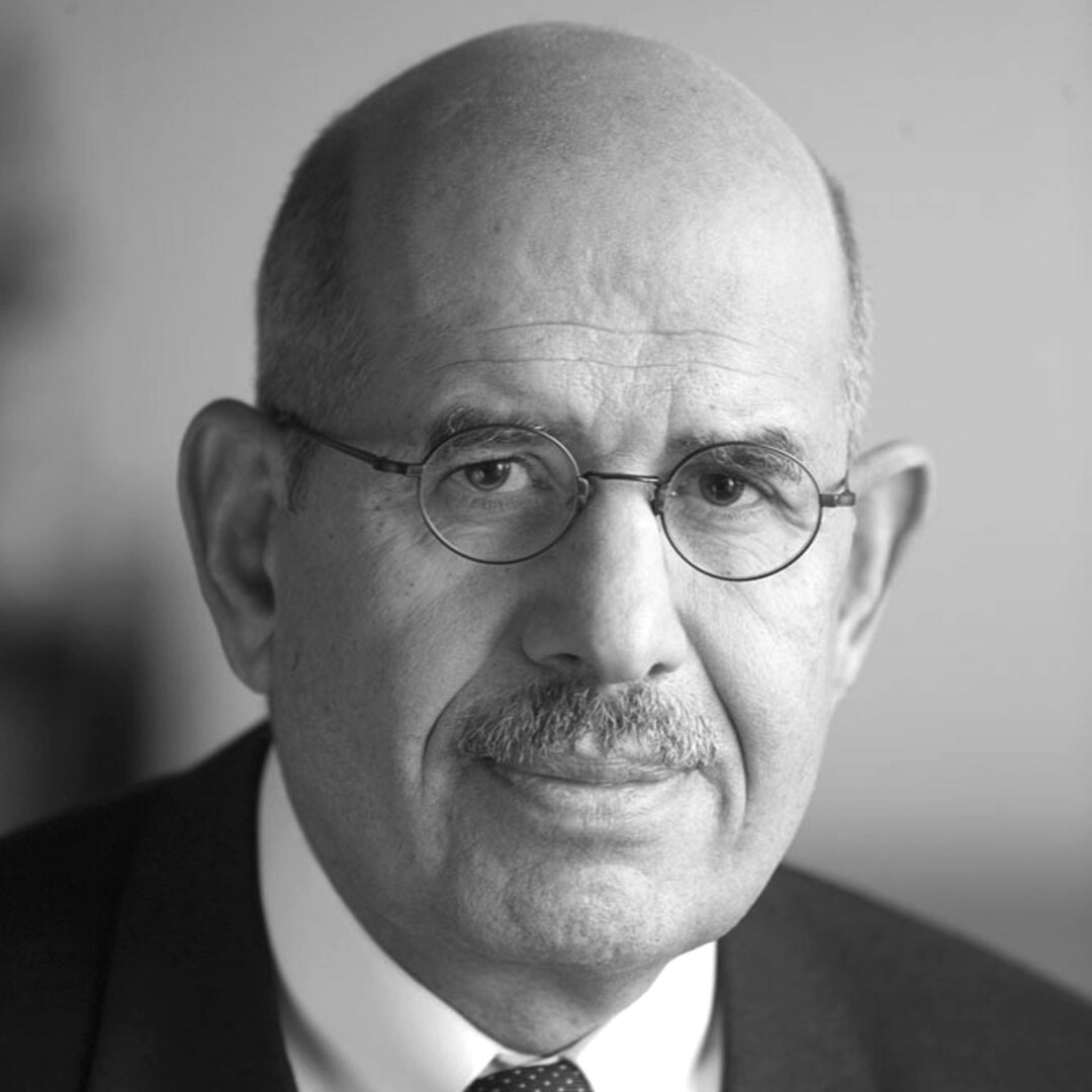 Photo of Mohamed ElBaradei