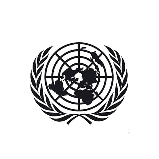 UN logo